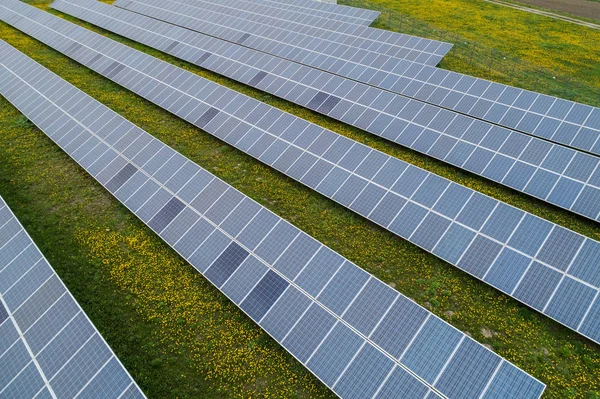 Mnozí solární energie rostlin — Stock fotografie