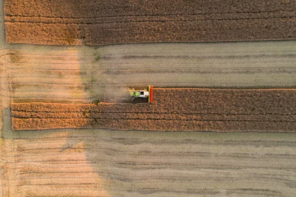 Aerial photo of working combine — Stock Photo, Image