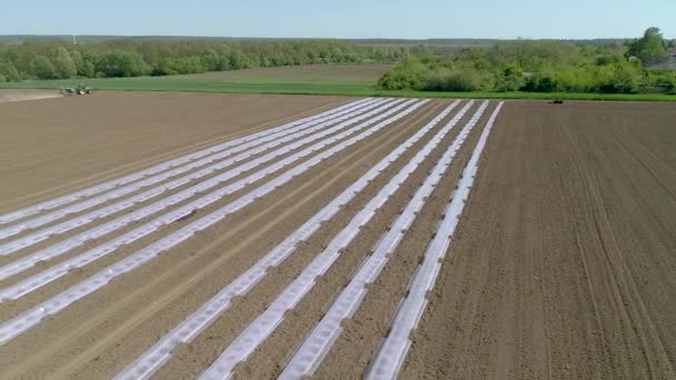 Vuelo Aéreo Campo Con Tractor Vídeo Cámara Lenta — Vídeos de Stock