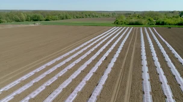 Vuelo Aéreo Campo Con Tractor Vídeo Cámara Lenta — Vídeos de Stock