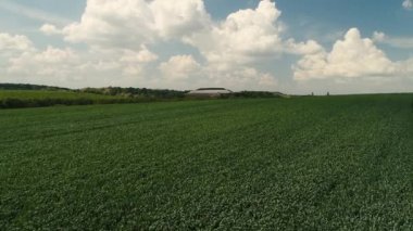 Depolama yeşil çayır ile hava dron görünümü