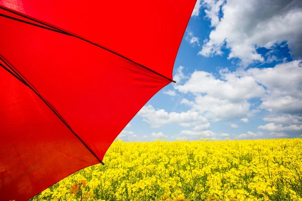 Pole rzepaku z czerwony parasol — Zdjęcie stockowe