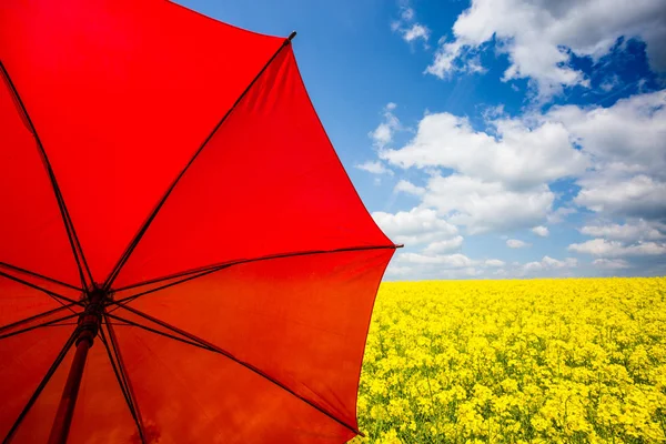 Rapsfeld mit rotem Regenschirm — Stockfoto