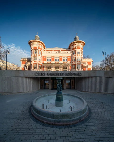 Macaristan 'ın Kaposvar kentindeki tiyatro binası — Stok fotoğraf