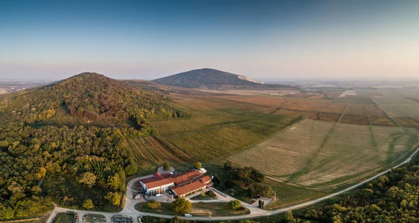 Vista Aérea Hermoso Viñedo Otoño Villany Hungría — Foto de Stock