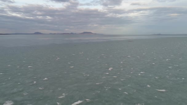 Eisiger Balaton Drohnenblick Winter — Stockvideo