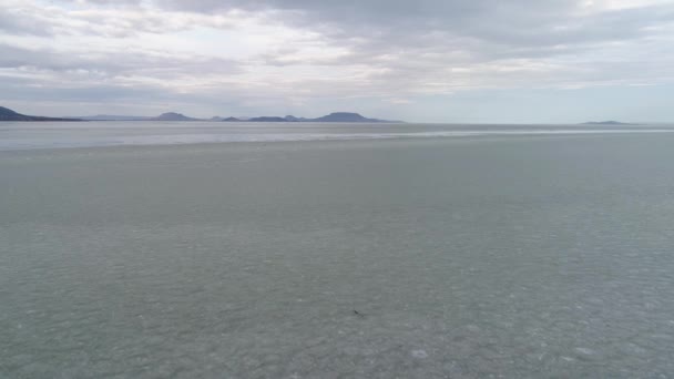 Lac Glacé Balaton Vue Sur Drone Hiver — Video