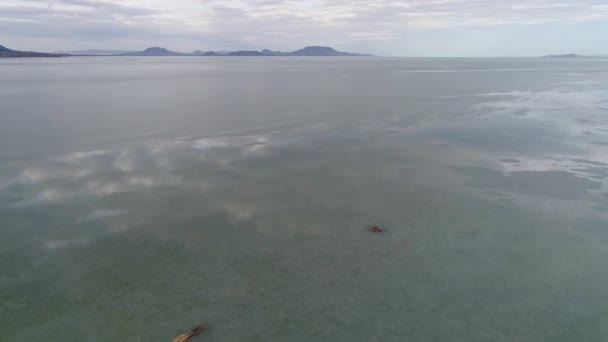 寒冰冰的巴拉顿湖无人驾驶飞机冬季景观 — 图库视频影像