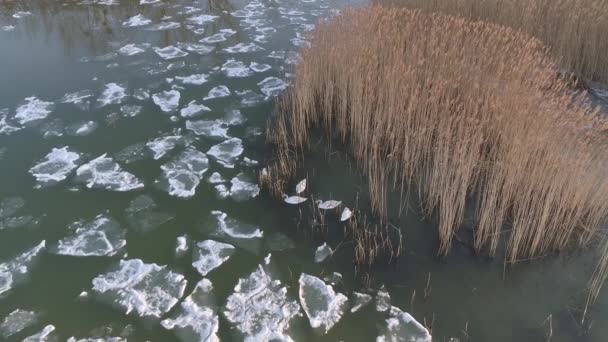 Gelo Lago Balaton Drone Vista Inverno — Vídeo de Stock