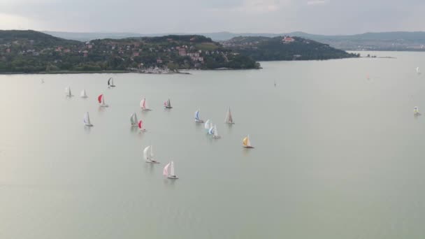 Barche Vela Sul Lago Balaton — Video Stock