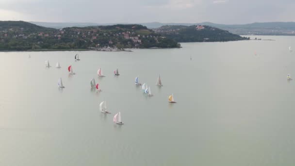 Plachetnice Jezeře Balaton — Stock video