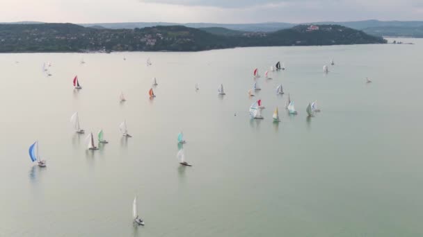 Balaton Gölü Nde Yelkenli Botlar — Stok video