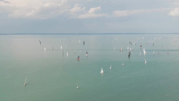 Segelbåtar Vid Balatonsjön — Stockvideo