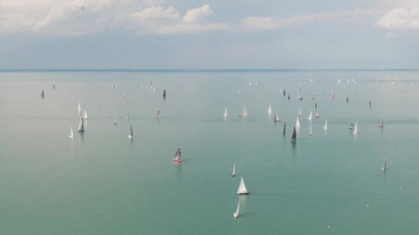Bateaux Voile Sur Lac Balaton — Video
