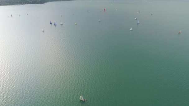 Balaton Gölü Nde Yelkenli Botlar — Stok video