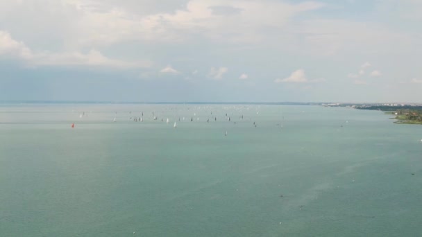 Balaton Gölü Nde Yelkenli Botlar — Stok video