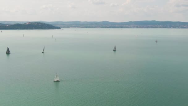 Segelbåtar Vid Balatonsjön — Stockvideo