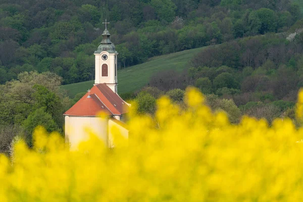 Wieża Kościelna Żółtym Polem Rzepakowym Abaliget — Zdjęcie stockowe