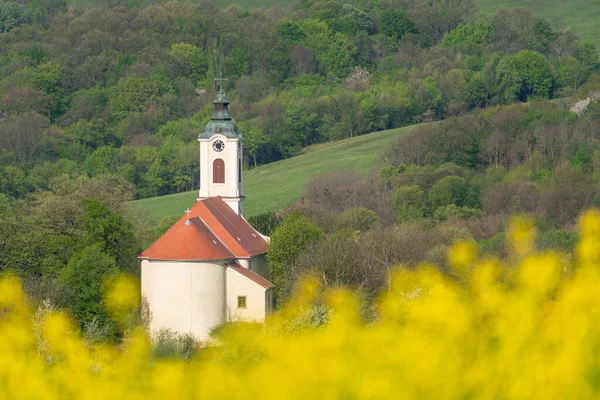 Church Tower Yellow Canola Field Abaliget — Stock Photo, Image