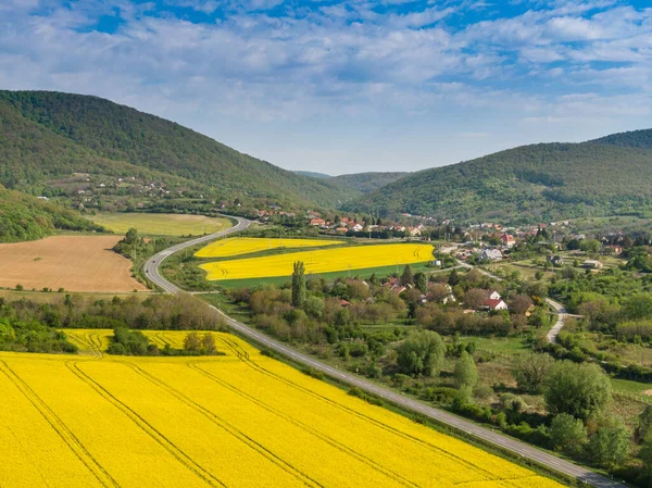 Campo Canola Amarillo Con Mecsek Hills — Foto de Stock