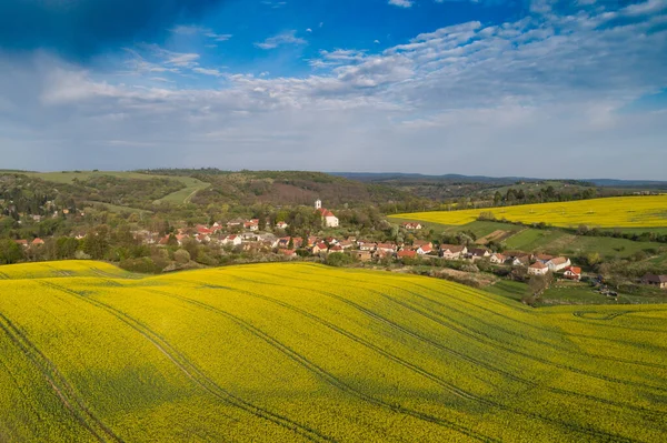 Yellow Canola Field Cloudy Sky — Stock Photo, Image