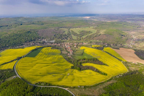 Yellow Canola Field Cloudy Sky — Stock Photo, Image