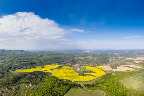 Campo Canola Amarillo Con Cielo Nublado — Foto de Stock