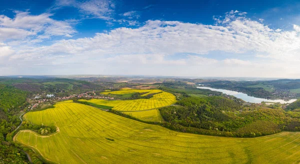 Campo Canola Amarillo Con Cielo Nublado — Foto de Stock