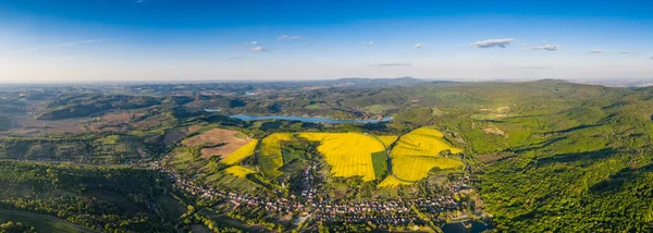 Campo Canola Amarillo Con Cielo Azul — Foto de Stock