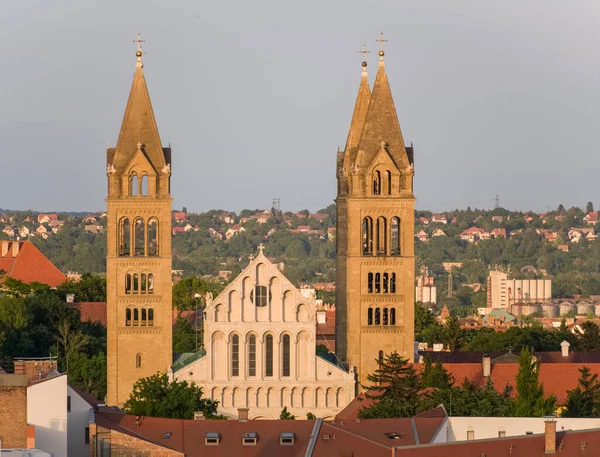 Cattedrale Pettorali Ungherese Chiamato Szekesegyhaz — Foto Stock