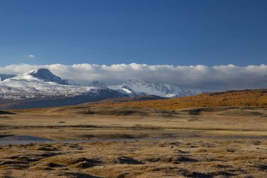 Moğolistan 'ın karlı dağları. 