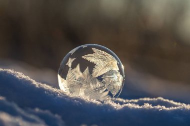 Donmuş sabun köpüğü. Karda donma izleri var. Arka planda bulanıklık var.