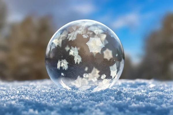Bolha Sabão Congelada Com Padrão Reflexão Floresta Inverno Com Céu — Fotografia de Stock