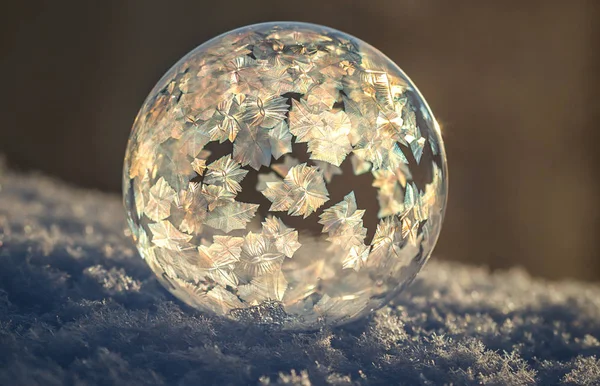 Karda güzel bir deseni olan donmuş sabun köpüğü bulanık bir arkaplanı kapatır.