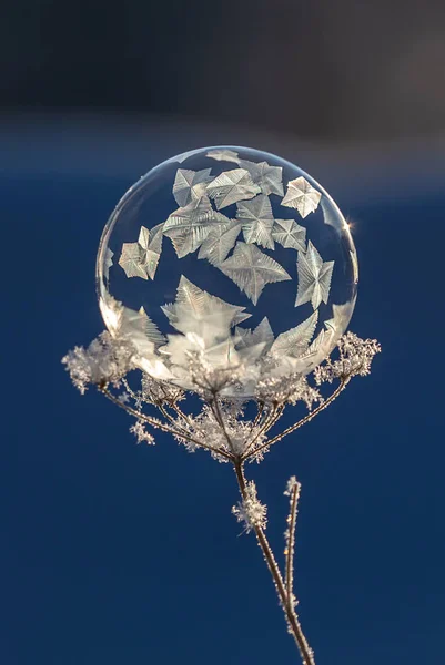 Donmuş, sabunlu, baloncuklu güzel bir yakın çekim deseni var.