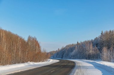 Mavi gökyüzüne karşı karlar ve ağaçlar arasında yol