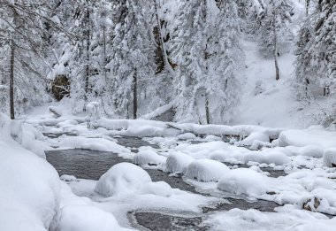 Altai bölgesindeki Pechersk şelalesinden gelen dağ nehrinin buzlu ve karlı kış manzarası