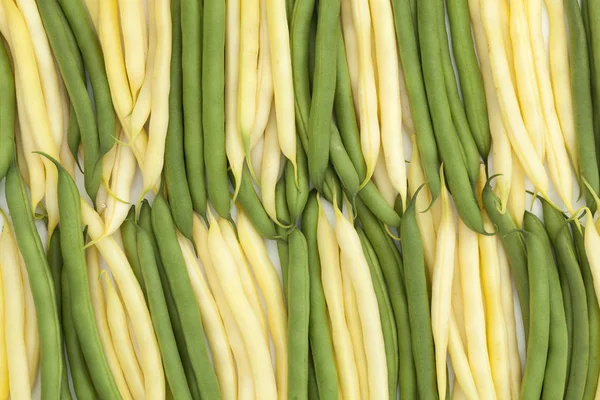 Green and yellow bean — Stock Photo, Image