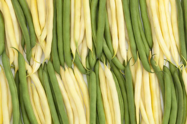 Grön och gul böna — Stockfoto