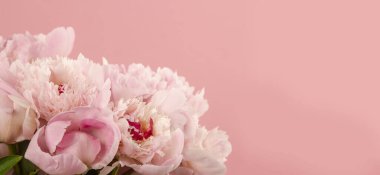 Pembe arka planda çiçek açmış şakayık demeti.