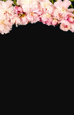 Koyu arkaplanda pembe şakayıklar olan web pankartı