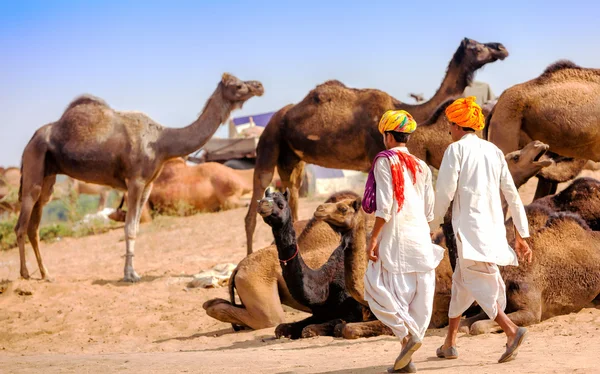 Etnik kıyafetleri erkeklerde katılır Pushkar Rajasthan, Indi adil — Stok fotoğraf