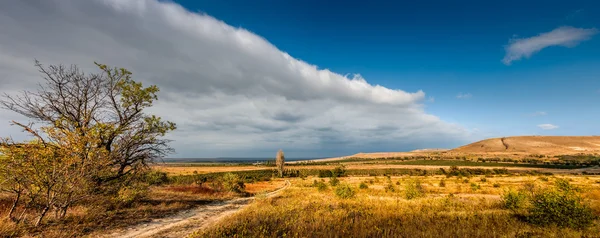 Panoramic view of the vineyards of Koktebel, Crimea — Stock Photo, Image