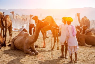 Kimliği belirsiz bir erkek katılır Pushkar Fuarı 