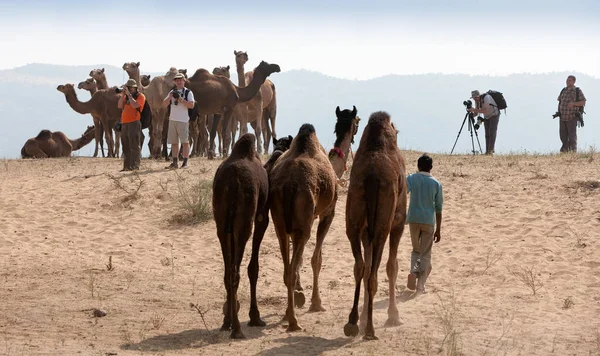 Des photographes prennent des photos à la foire de Pushkar, en Inde — Photo