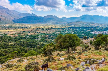 Yunanistan 'ın Girit adasında Lassithi yaylası