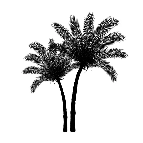 Zwarte Palm bomen silhouet — Stockvector