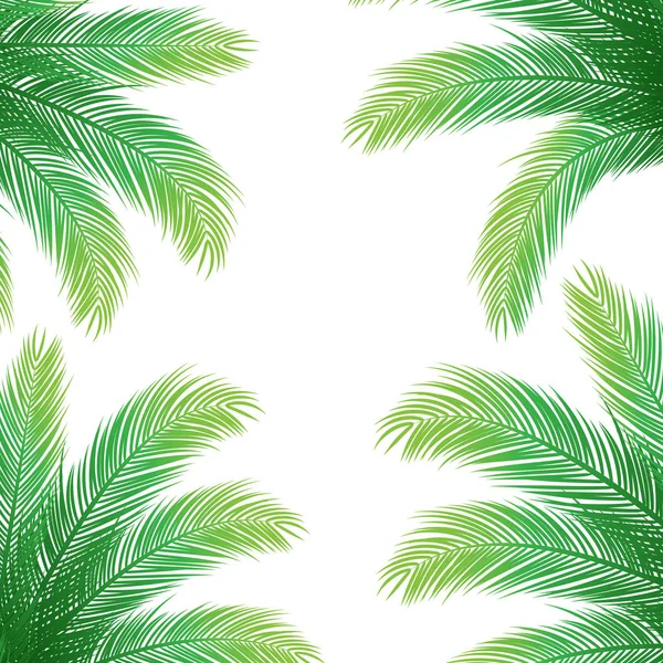 Palm Leaves on White — Stock Vector