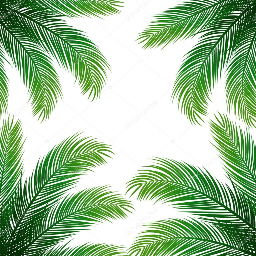 abstract background with palms