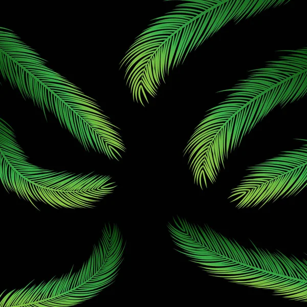 Palm Leaves on Black — Stock Vector